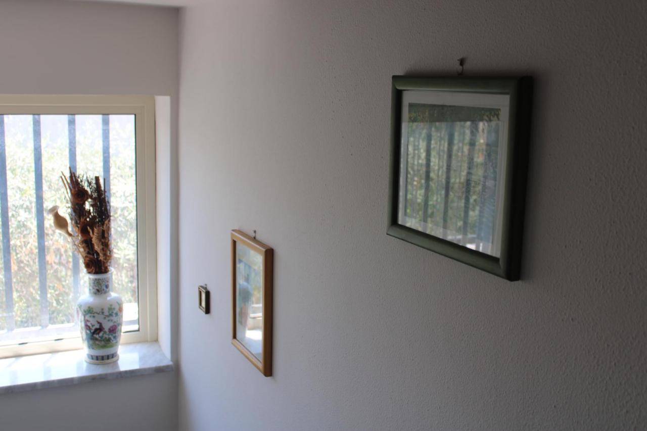 Villa Sicilia Apartment カターニア エクステリア 写真